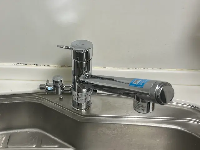 水栓蛇口交換 / キッチンサービスの画像