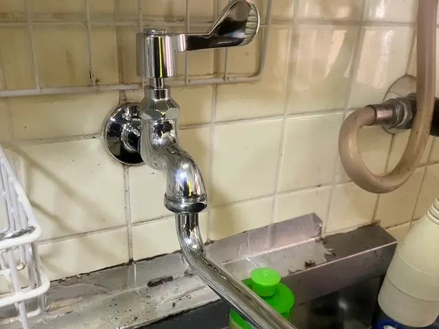 水栓蛇口交換 / キッチンサービスの画像