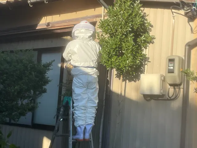 蜂の巣駆除サービスの画像