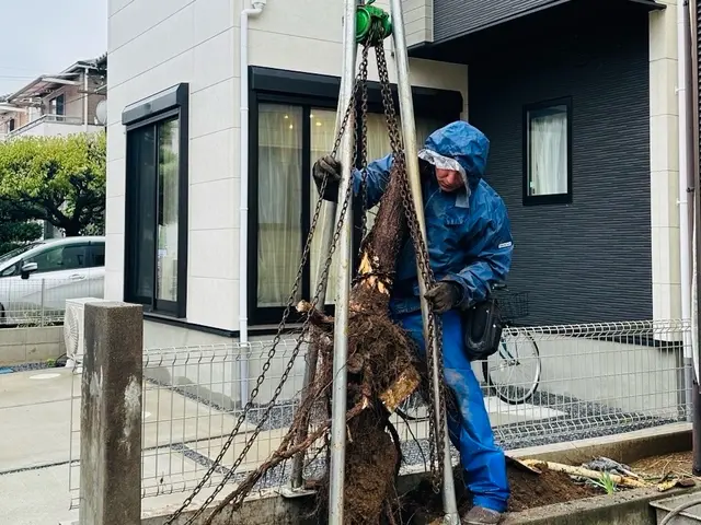 丁寧かつ迅速にお庭の木を伐採/抜根いたします！サービスの画像