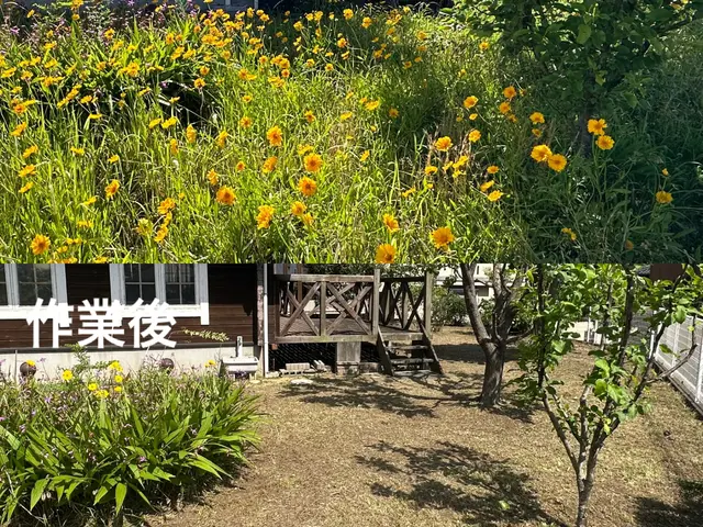 【地域密着店】年中無休◎営業時間外も対応可能◎アフターフォローも万全サービスの画像