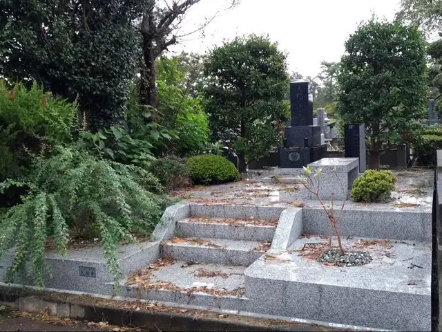 女性の庭師が心を込めて作業いたします。7年間の墓石清掃経験ありサービスの画像