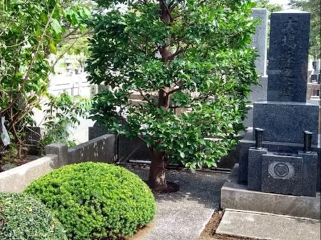 女性の庭師が心を込めて作業いたします。7年間の墓石清掃経験ありサービスの画像