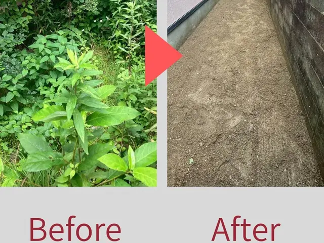 面倒な草刈りは私たちにお任せ！◎安心の地域密着サービスサービスの画像