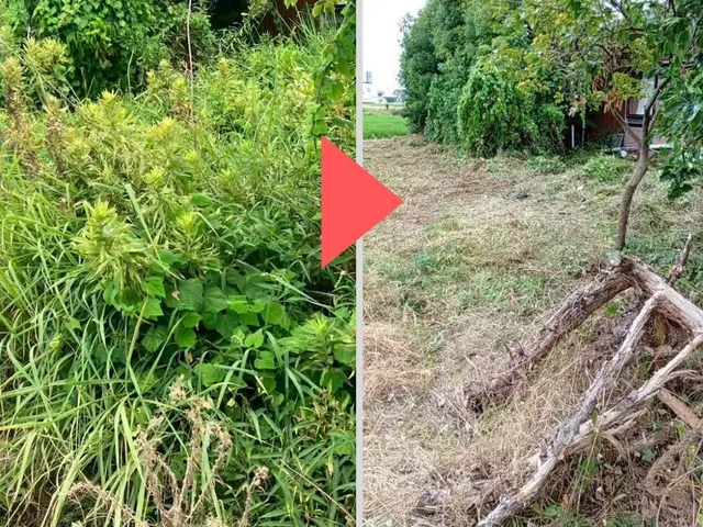 面倒な草刈りは私たちにお任せ！◎安心の地域密着サービスサービスの画像