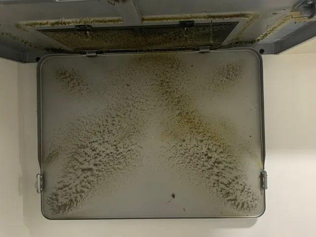 ◎ギトギトの油汚れもすっきりキレイに◎サービスの画像