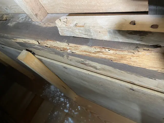 プロの技術でご満足いただけるように心を込めて作業いたしますサービスの画像