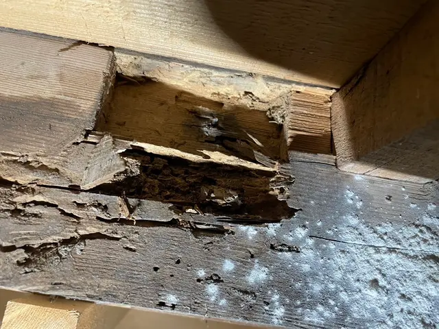 プロの技術でご満足いただけるように心を込めて作業いたしますサービスの画像