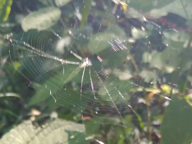 【業歴30年以上の経験と実績】　　　ころさない害虫防除はお任せください。サービスの画像