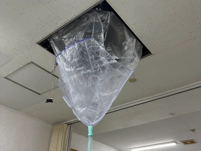 数百件の実績！女性スタッフ対応で安心の丁寧作業サービスの画像