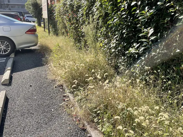 【植込み・生垣の剪定】◆100%自社施工◆ご要望お聞かせくださいサービスの画像