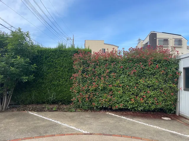 【植込み・生垣の剪定】◆100%自社施工◆ご要望お聞かせくださいサービスの画像