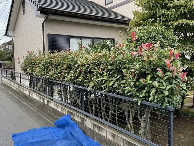 【植込み・生垣の剪定】◆100%自社施工◆ご要望お聞かせくださいサービスの画像