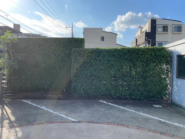 【植込み・生垣の剪定】◆100%自社施工◆ご要望お聞かせくださいサービスの画像