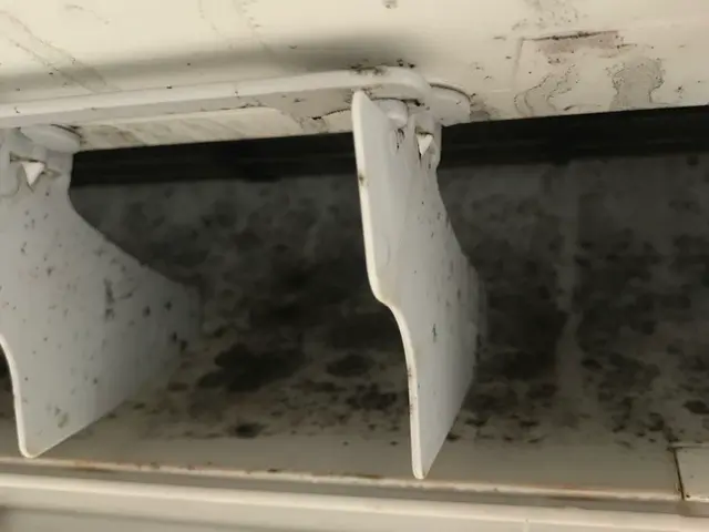 複数台割引★損害保険加入★抗菌コート無料サービスの画像