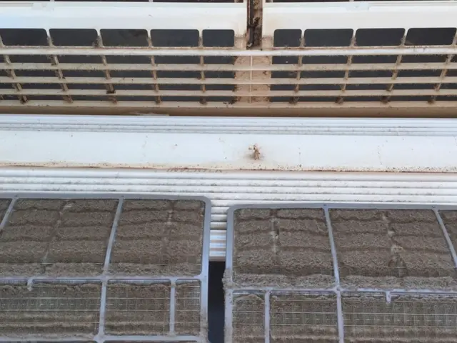 複数台割引★損害保険加入★抗菌コート無料サービスの画像