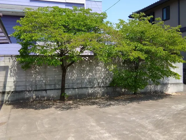 栃木群馬埼玉茨城！迅速対応◎庭木の剪定します！サービスの画像