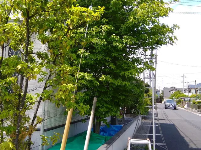 栃木群馬埼玉茨城！迅速対応◎庭木の剪定します！サービスの画像