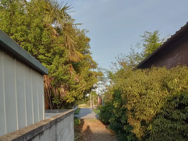 樹木の剪定や伐採はお任せ下さい！栃木群馬埼玉茨城！迅速対応致します。サービスの画像