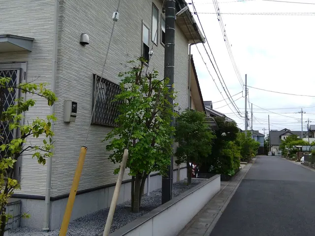 栃木群馬埼玉茨城！迅速対応◎庭木の剪定します！サービスの画像