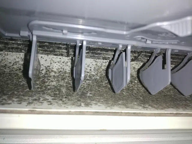 初心者マークのベテランです(笑)損害保険加入、防カビ抗菌コート無料です！サービスの画像