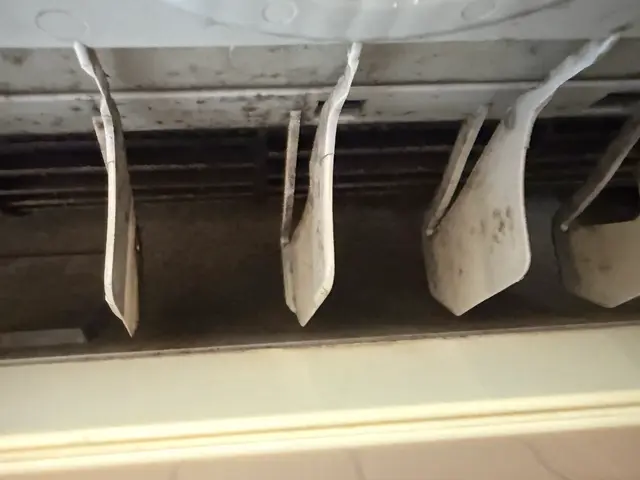 カビ特化の専用洗浄剤で汚れを徹底除去！防カビ抗菌コート無料！損害保険加入サービスの画像