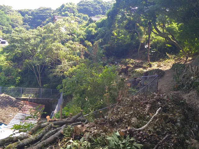 庭木の伐採　地山の伐採サービスの画像