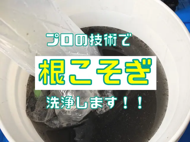 ★高評価店舗の人気No. 1サービス★優しいエコ洗剤◎お値段以上の感動洗浄！！サービスの画像