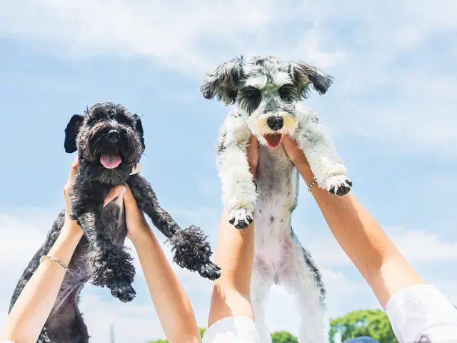 好きな場所で好きな家族と思い出を残そう！