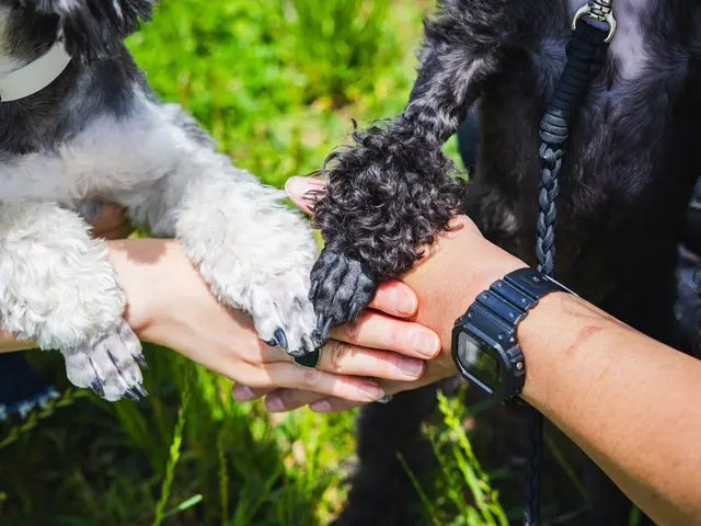 好きな場所で好きな家族と思い出を残そう！