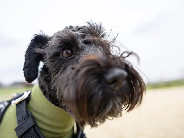 好きな場所で好きな家族と思い出を残そう！