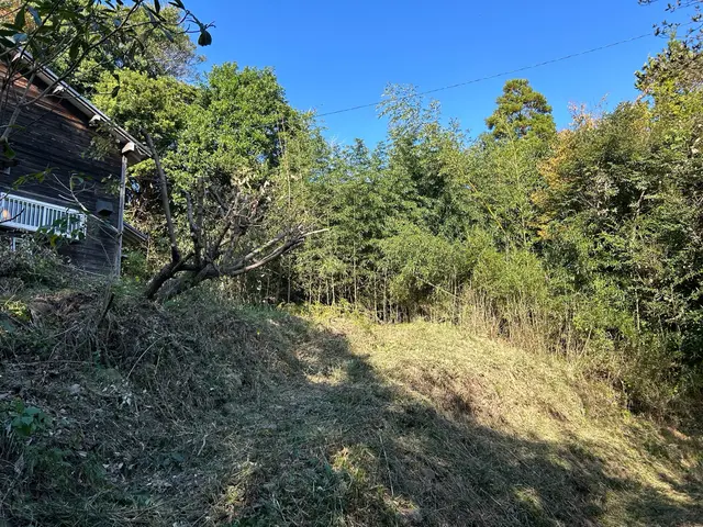 大きなお庭から駐車場、有休地や太陽光発電所迄対応の草刈りサービスの画像