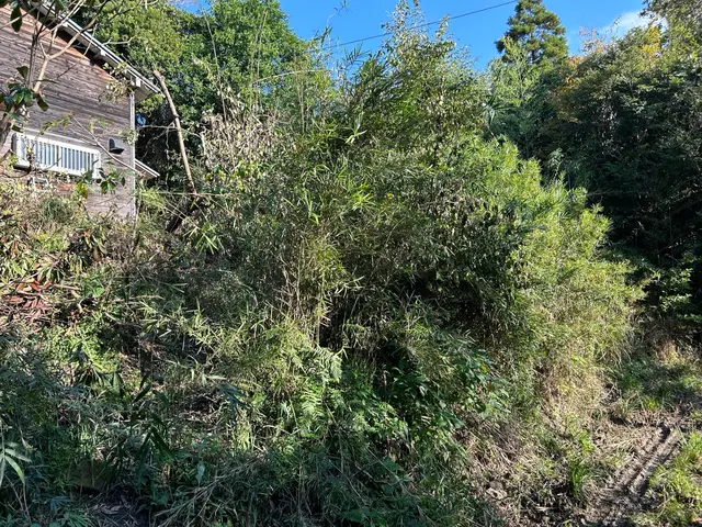 大きなお庭から駐車場、有休地や太陽光発電所迄対応の草刈りサービスの画像