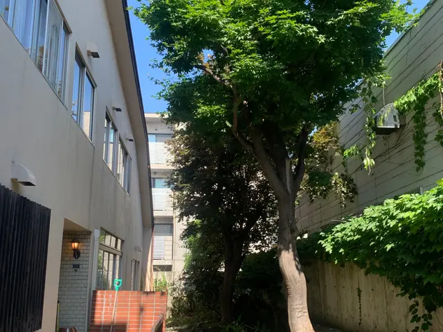 豊富な経験と知識で安心！仕上がり重視で丁寧に作業いたします！サービスの画像