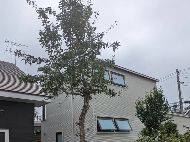 豊富な経験と知識で安心！仕上がり重視で丁寧に作業いたします！サービスの画像