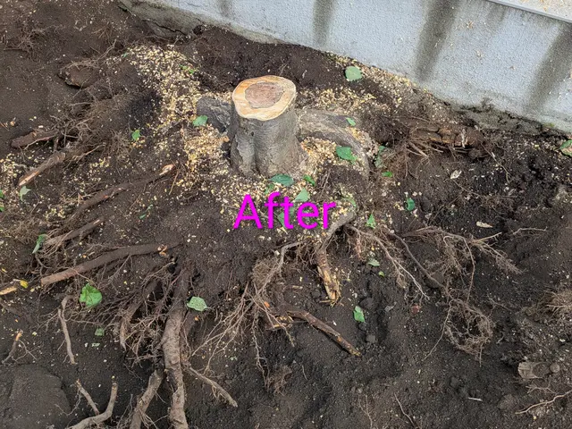 豊富な経験と知識で安心！仕上がり重視で丁寧に作業いたします！サービスの画像