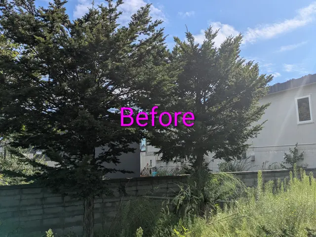 豊富な経験と知識で安心！仕上がり重視で丁寧に作業いたします！サービスの画像