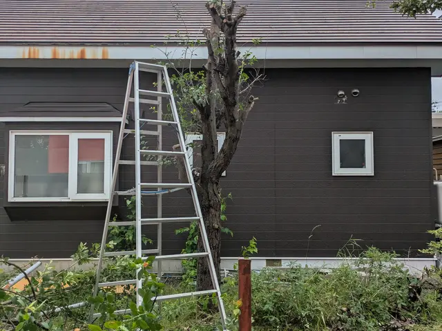 豊富な経験と知識で安心！仕上がり重視で丁寧に作業いたします！サービスの画像