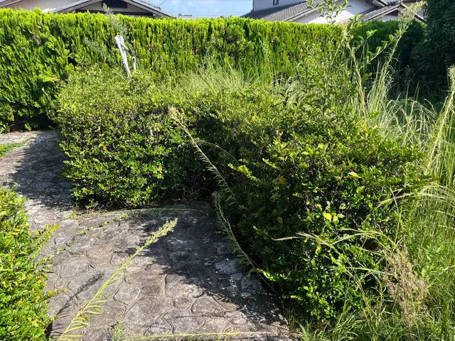 【業歴15年の経験と実績】作業外注なし全て自社施工！アフターフォローも万全サービスの画像