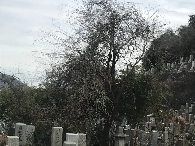 【街のお助け便利屋さん☆】年中無休でご対応！是非当店におまかせください！サービスの画像
