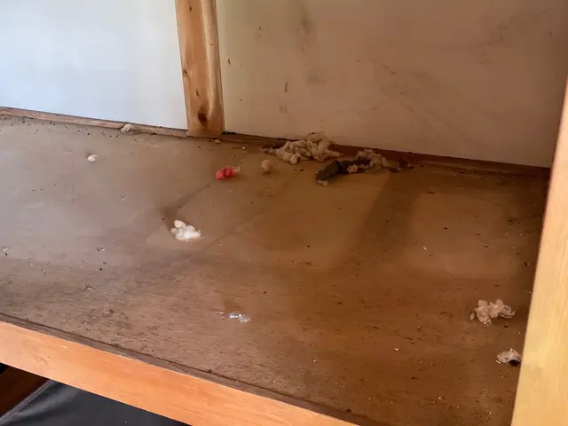 ◆24時間営業◆大手企業経験アリ◆豊富な知識◆アフターサービスもお任せ下さい◆サービスの画像