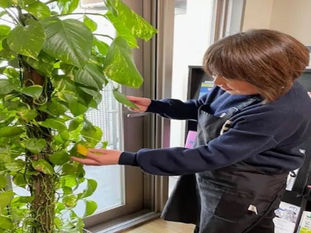 【1月出店】経験年数30年・実績100件以上のプロが植物の復活をお手伝い！サービスの画像