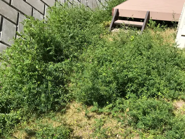 「庭園管理士」＆便利屋として幅広く対応　迅速・丁寧！⦿対応地域外もご相談可能サービスの画像