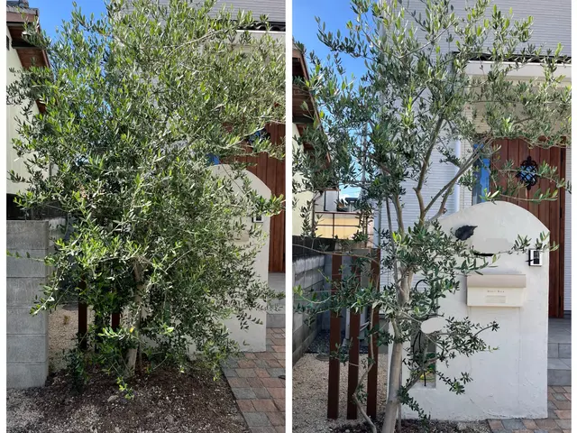 プロの技術で納得の仕上がりに！ご要望にお応えします。サービスの画像