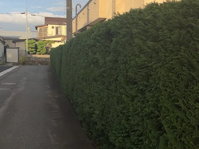 あなたの夢の庭を現実に！お客様の理想を叶える庭木のプロフェッショナルサービスの画像