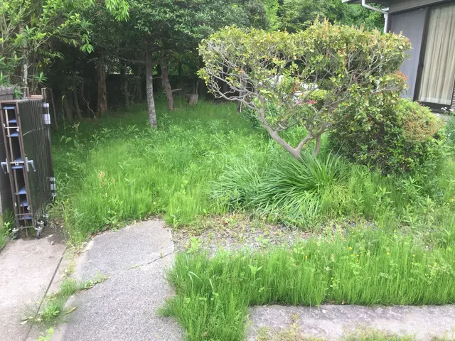 【お庭、空き地の草刈りは今のうちに！】便利屋ならではの柔軟な対応！サービスの画像