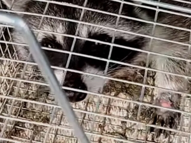 お客様のお力になります！経験と知識を活かして迅速丁寧に作業いたしますサービスの画像