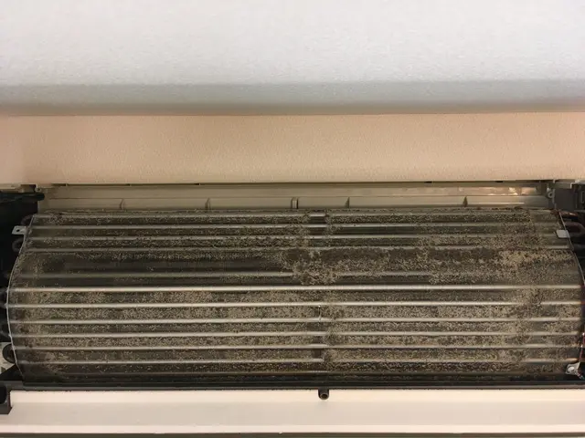 【期間限定】全ての方対象に除菌洗浄、防カビ抗菌コート無料！サービスの画像