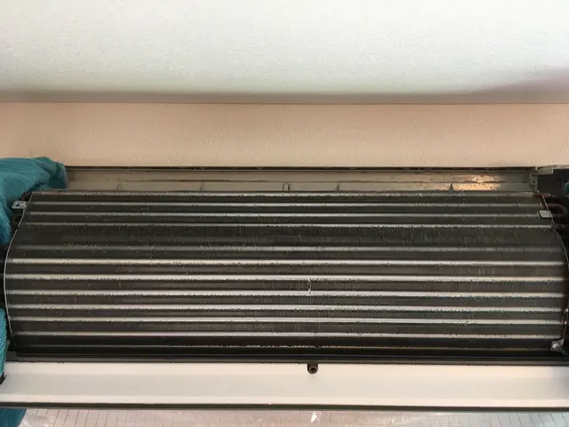 【期間限定】全ての方対象に除菌洗浄、防カビ抗菌コート無料！サービスの画像