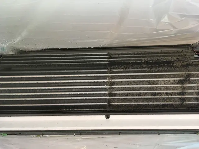 【期間限定】全ての方対象に除菌洗浄、防カビ抗菌コート無料！サービスの画像